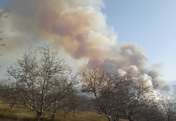 Incendios Forestales El De Los Casos Son Intencionales Diario