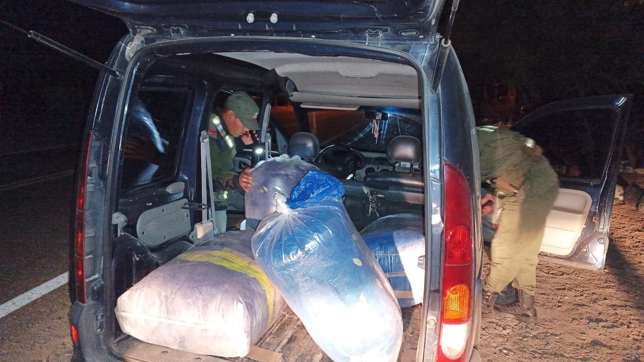 Gendarmería secuestró más de 115 kilos de hojas de coca en operativos