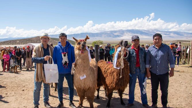 Finalizó con éxito la Feria Ganadera de la Chimpiada Diario Inforama