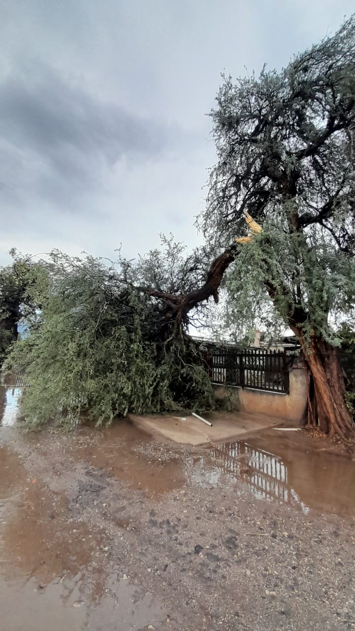 Una Breve E Intensa Tormenta Dej Calles Anegadas Y Ca Da De Rboles