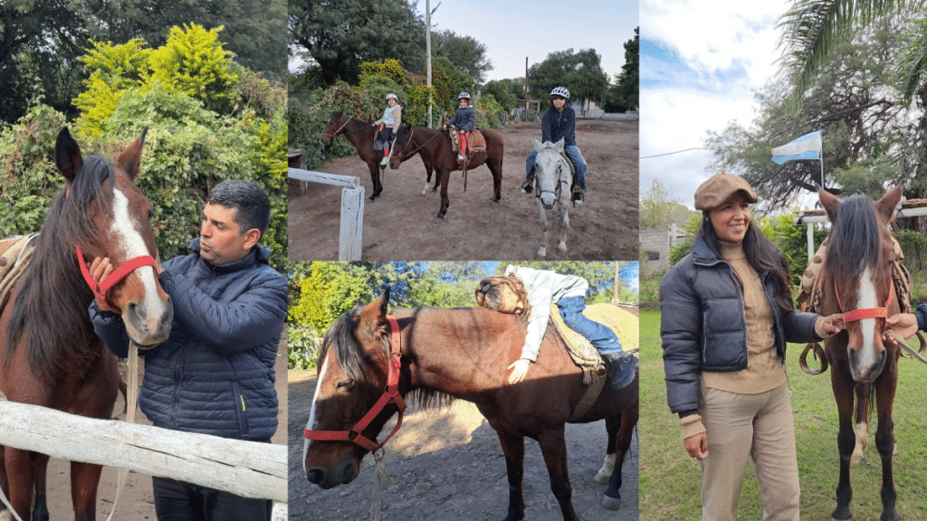 equinoterapia