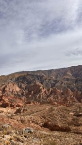 camino el tolar